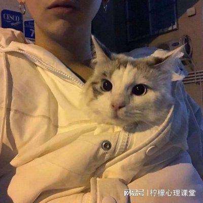 神魔仙尊手游赚钱版下载