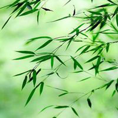 混沌战争2游戏下载