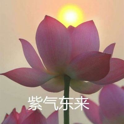 血饮屠龙霸业官方版(暂未上线)v1.0.9 安卓版